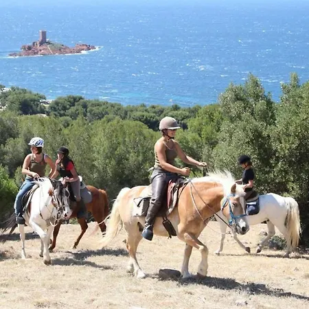 Triangle D'or De St-raphael - Les Locations Du Soleil